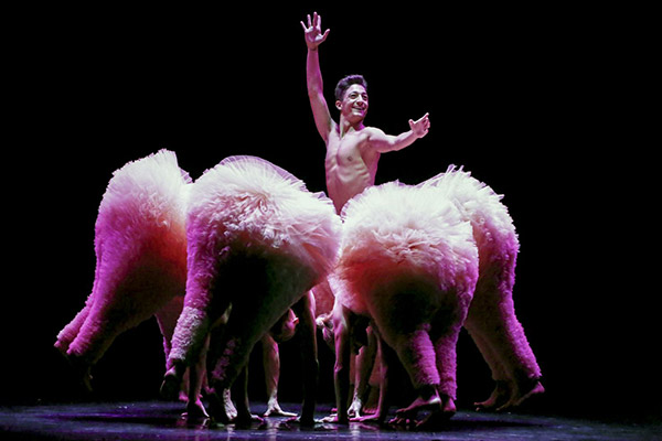 TUTU - La danse dans tous ses &eacute;tats