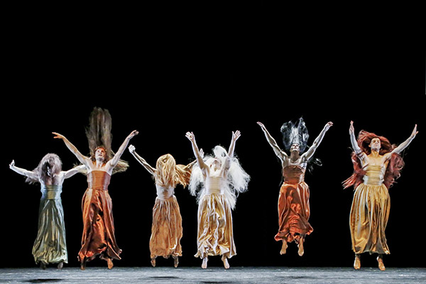 TUTU - La danse dans tous ses &eacute;tats