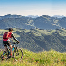 Bergbahntickets (Sommer)