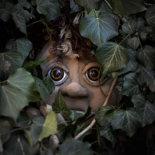 BMT - Muggli, dr Waldtroll