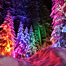 Zauberwald - Christmas