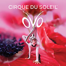 Cirque du Soleil - OVO