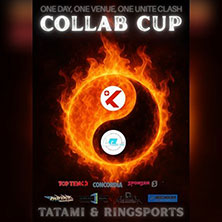 Collab Cup