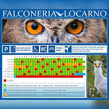 Falconeria Locarno