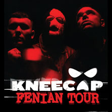 Kneecap