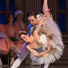 La Belle au Bois Dormant - International Festival