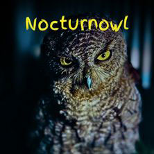 Nocturnowl -Full Moon