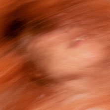 SEX &ndash; NICHT NUR EIN AKT