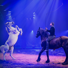 Swiss Equestrian Night