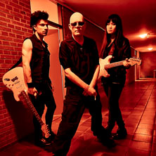 The Sisters of Mercy