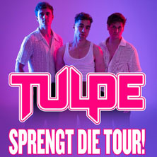 Tulpe