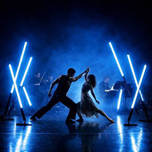 L&rsquo;univers du n&eacute;oclassique