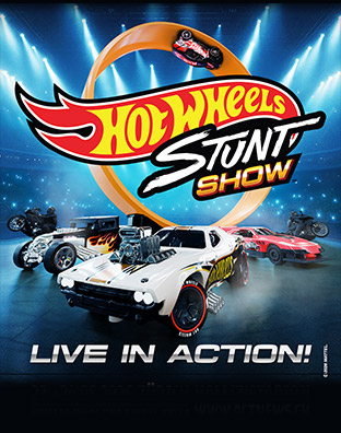 Hot Wheels Stunt Show