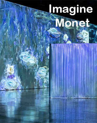 Imagine Monet - Flex Tickets