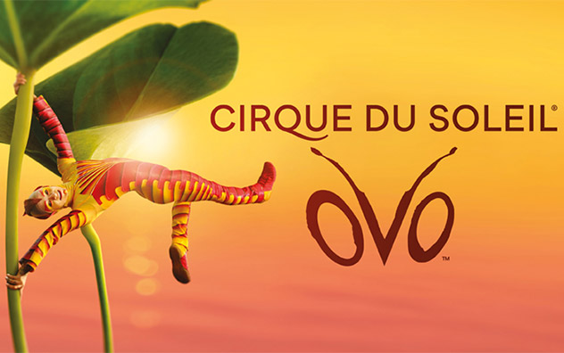 Cirque du Soleil - OVO