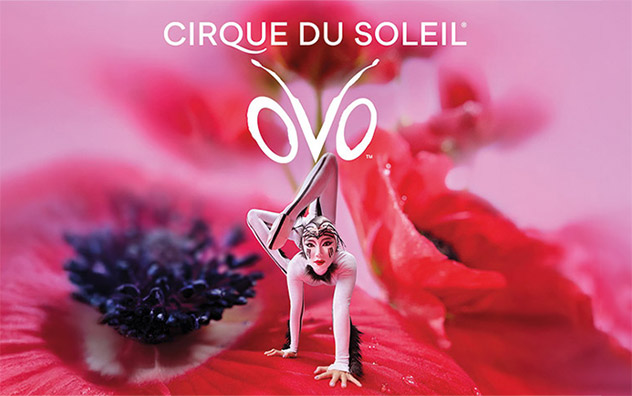 Cirque du Soleil - OVO