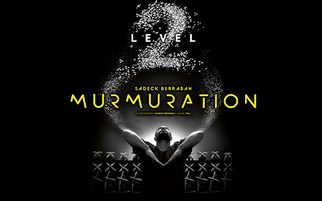 Murmuration de Sadeck Berrabah - Level 2
