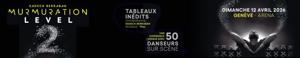 Murmuration de Sadeck Berrabah - Level 2