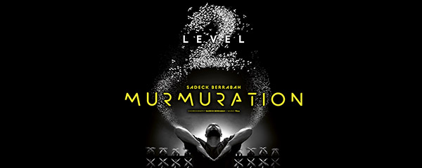 Murmuration de Sadeck Berrabah - Level 2